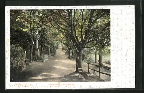 AK Freiburg i. Br., Schlossberg - Am Kreuz