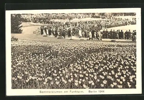 AK Berlin-Charlottenburg, Sommerblumen am Funkturm 1944