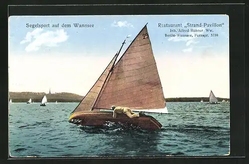 AK Berlin-Wannsee, Segelsport auf dem Wannsee