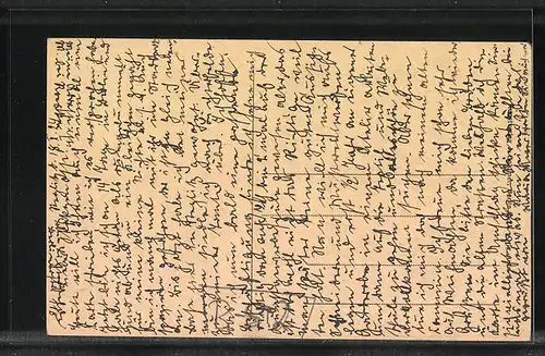 AK Berlin-Steglitz, Partie im Stadtpark