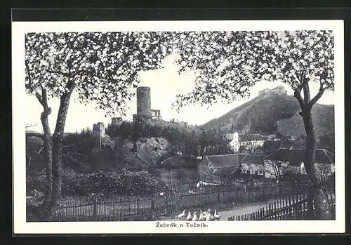 AK Zebràk, Ortsansicht mit Burg Totschnik