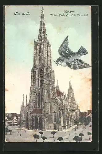 AK Ulm a. Donau, Münster, Höchste Kirche der Welt mit 161m