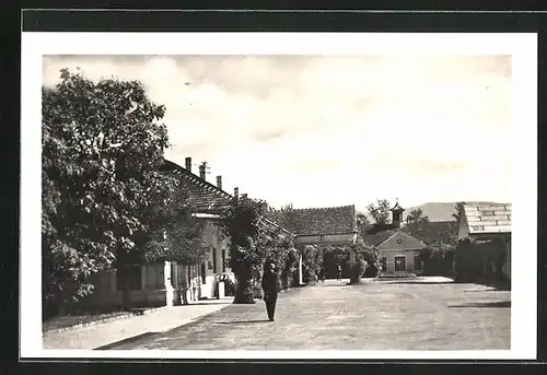 AK Piestany, Passanten auf der Strasse