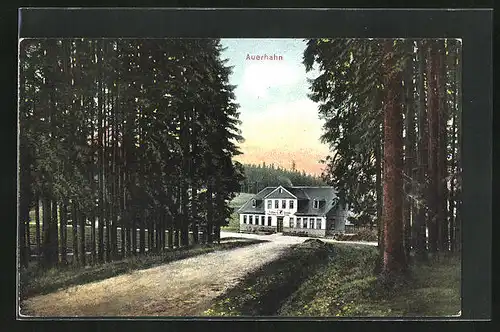 AK Stützerbach, Gasthaus Auerhahn