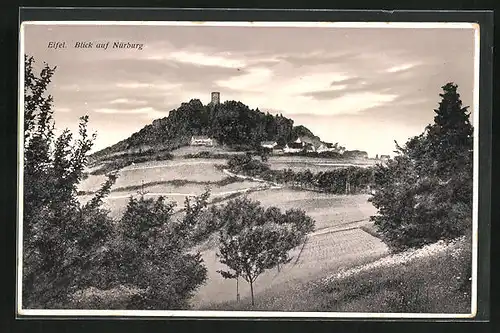 AK Nürburg / Eifel, Panoramablick zur Burgruine