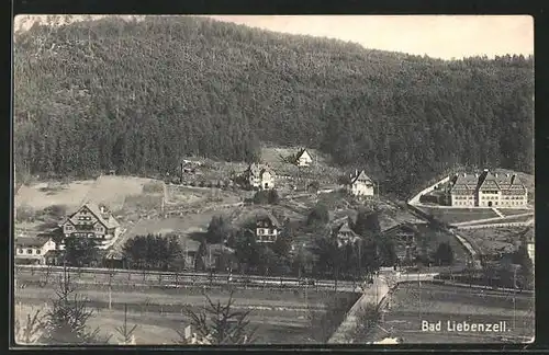 AK Bad Liebenzell, Gesamtansicht