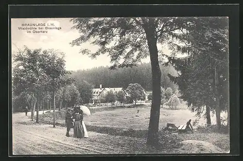 AK Braunlage / Harz, Blick zur Pension Waldmühle