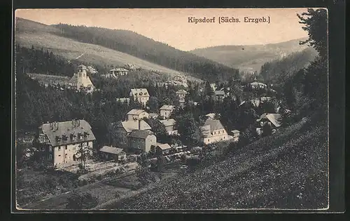 AK Kipsdorf / Sächs. Erzgebirge, Blick von der Bergwiese