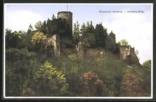 AK Nürburg / Eifel, Blick auf die Burgruine