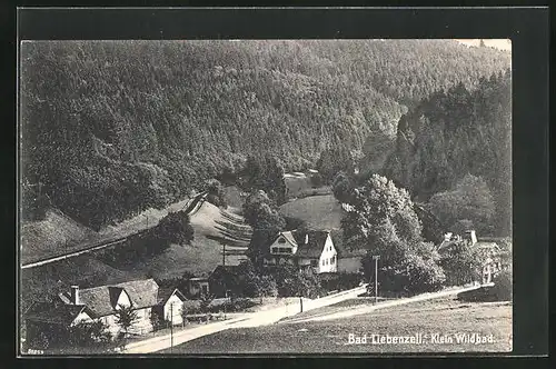 AK Bad Liebenzell / Württb., Idylle in Klein Wildbad