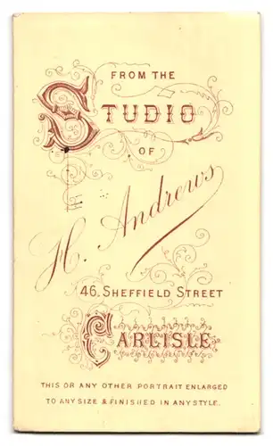 Fotografie H. Andrews, Carlisle, 46, Sheffield Street, Portrait junge Dame in festlicher Kleidung