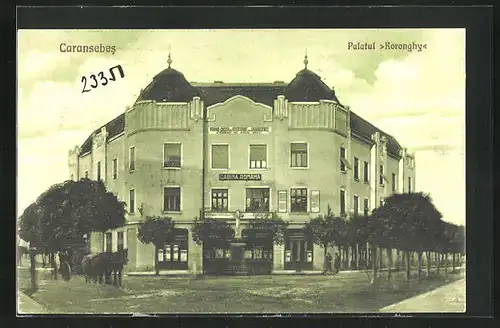 AK Caransebes, Palatul Koronghy