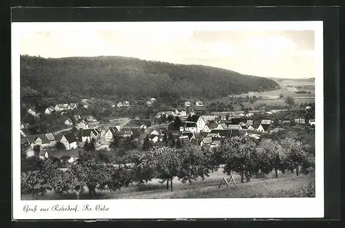 AK Rohrdorf b. Nagold, Panorama mit Obstbäumen