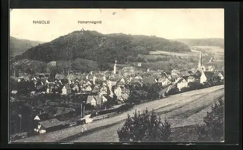 AK Nagold, Panorama mit Hohennagold