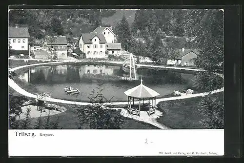 AK Triberg, Bergsee aus der Vogelschau