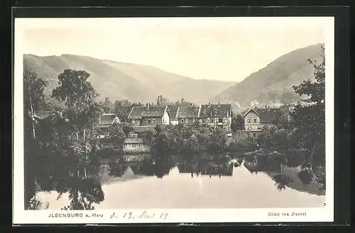 AK Ilsenburg a. Harz, Blick ins Ilsetal