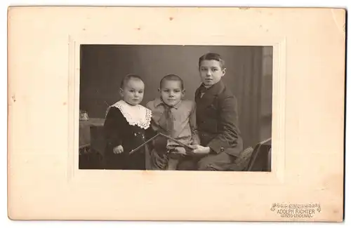 Fotografie Adolph Richter, Leipzig-Lindenau, Merseburger Str. 61, Portrait zwei Jungen & Kleinkind in hübscher Kleidung