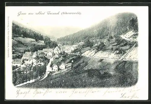 AK Bad Teinach, Blick auf Ortschaft