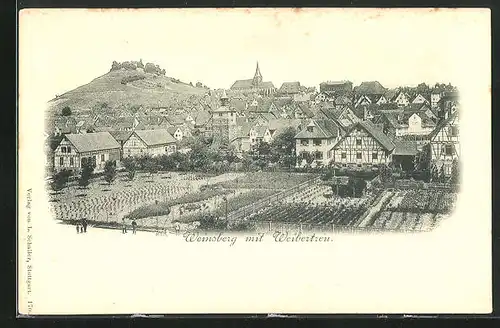 AK Weinsberg, Blick auf Dorf mit Weibertreu