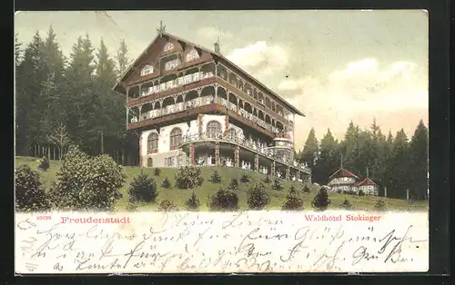 AK Freudenstadt, Blick auf Waldhotel Stokinger
