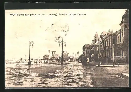 AK Montevideo, Avenida de los Pocitos