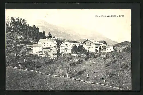 AK Niederndorf, Gasthaus Wildbichl, Kuhweiden