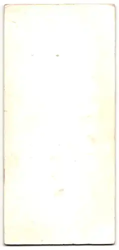 Fotografie C. F. Beddies & Sohn, Braunschweig, Kuhstrasse 10, Portrait junger Herr im Anzug mit Krawatte