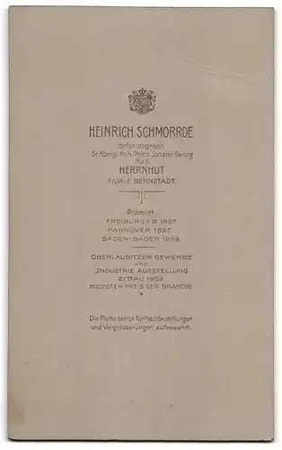 Fotografie Heinrich Schmorrde, Herrnhut, Portrait bürgerliche Dame im Kleid mit Buch