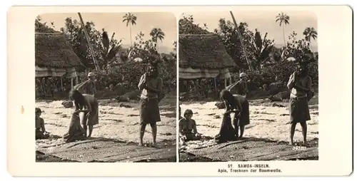 Stereo-Fotografie unbekannter Fotograf, Ansicht Apia, Samoanerinnen beim Trocknen der Baumwolle