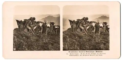 Stereo-Fotografie unbekannter Fotograf, Ansicht Sikhim / Himalaya, Kuli Gruppe mit Gepäck mit Berg Gaurisankar