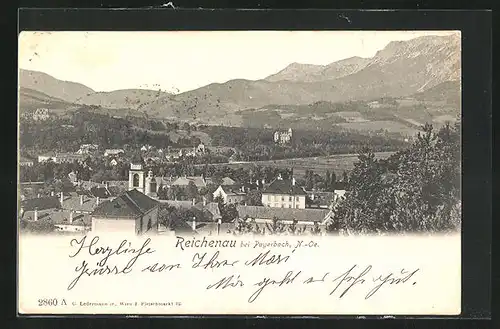 AK Reichenau, Totalansicht mit Bergen