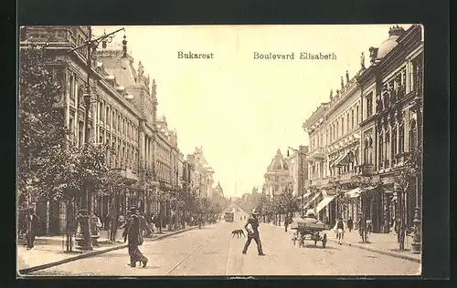 AK Bukarest, Boulevard Elisabeth, Strassenbahn