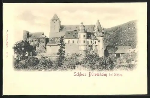 AK Mayen, Totalansicht Schloss Bürresheim