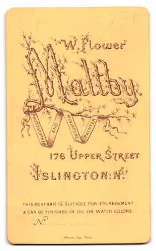 Fotografie W. F. Maltby, Islington-N., 176, Upper St., Portrait beleibter Herr im Anzug mit Bart