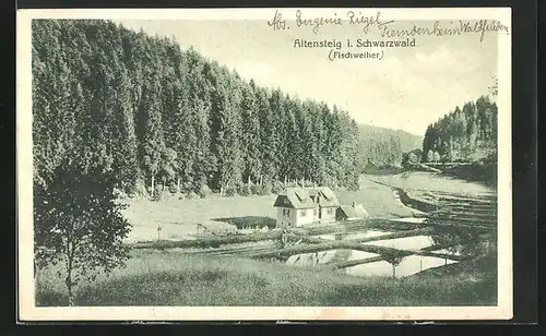 AK Altensteig /Schwarzwald, Fischweiher