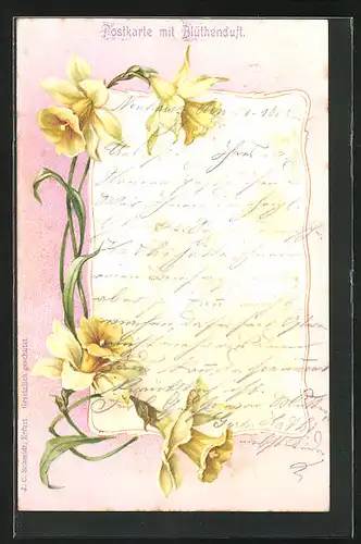 Duft-AK Osterglocken mit Duft
