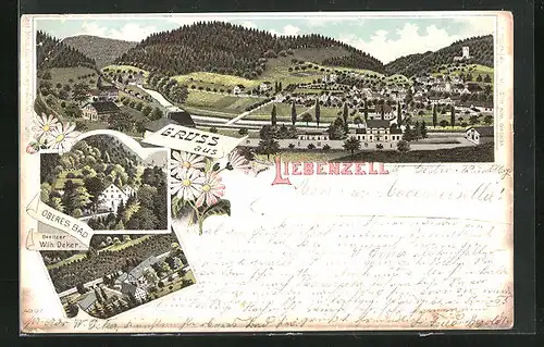 Lithographie Liebenzell, Totalansicht, Oberes Bad