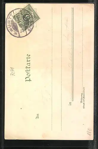 Lithographie Berneck, Totalansicht mit Pavillon