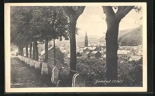 AK Gemünd /Eifel, Blick auf Ort und Landschaft