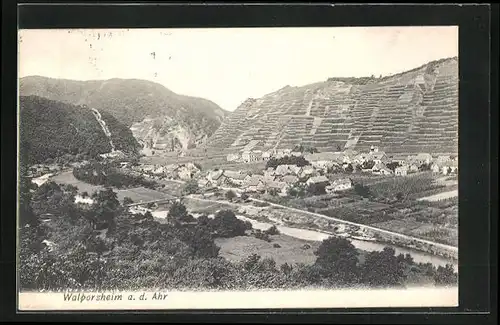 AK Walporzheim /Ahr, Totalansicht mit Weinberg