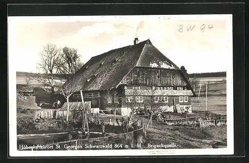 AK St. Georgen /Schwarzwald, Brigachquelle