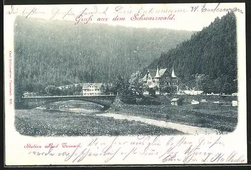 AK Bad Teinach, Station, Ortsansicht