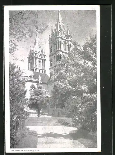 AK Naumburg /Saale, Blick zum Dom