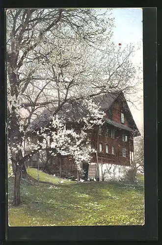 Künstler-AK Photochromie Nr. 1590: Baumblüte am Haus