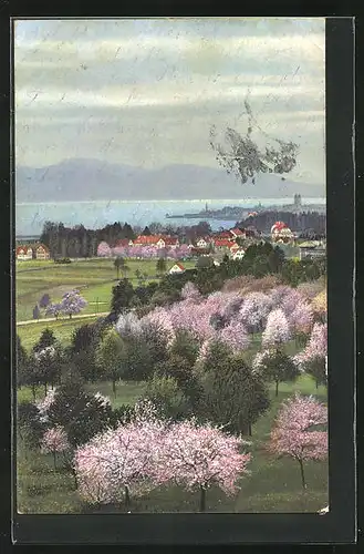 Künstler-AK Photochromie Nr. 3035: Lindau, Kirschbäume am Bodensee
