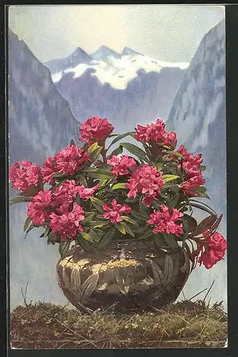 Künstler-AK Photochromie Nr. 723: Alpenrosen im Topf