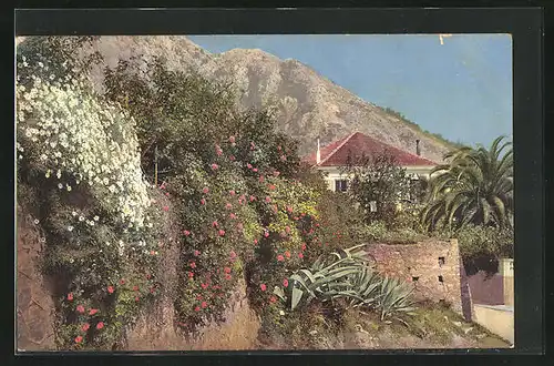 Künstler-AK Photochromie Nr. 2654: Riviera di Ponente, Mentone, Ortsansicht im Frühling