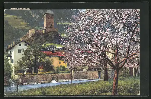 Künstler-AK Photochromie Nr. 2710: Obstblüte in Tirol