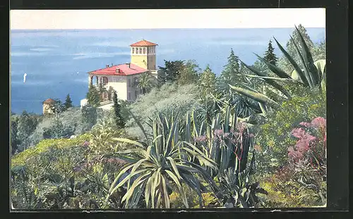 Künstler-AK Photochromie Nr. 2621: Riviera di Ponente, Mortola