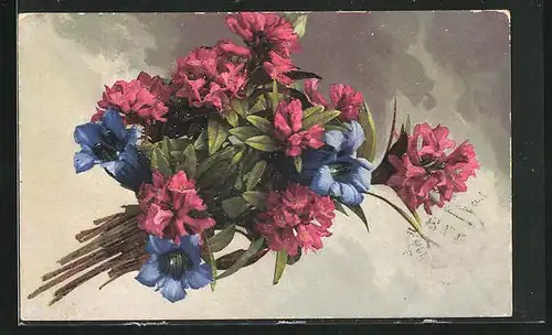 Künstler-AK Photochromie Nr. 737: Strauss mit Enzian und Alpenrose